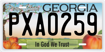 GA license plate PXA0259