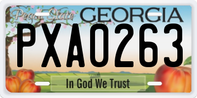 GA license plate PXA0263