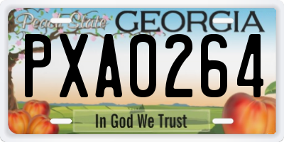 GA license plate PXA0264