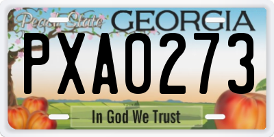 GA license plate PXA0273