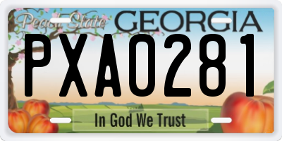 GA license plate PXA0281