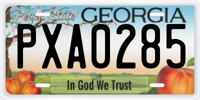 GA license plate PXA0285