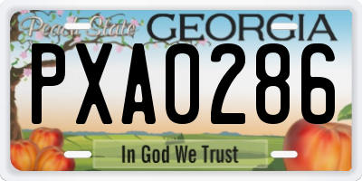 GA license plate PXA0286