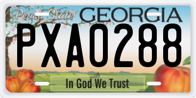GA license plate PXA0288