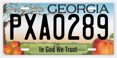GA license plate PXA0289