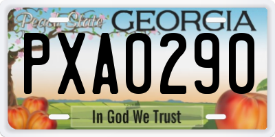 GA license plate PXA0290