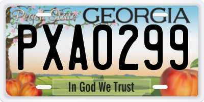 GA license plate PXA0299