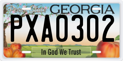 GA license plate PXA0302