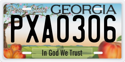 GA license plate PXA0306