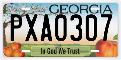 GA license plate PXA0307
