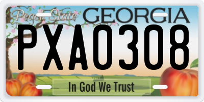 GA license plate PXA0308