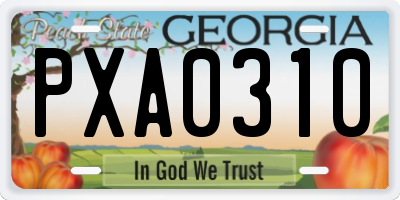 GA license plate PXA0310