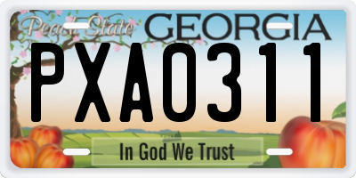 GA license plate PXA0311
