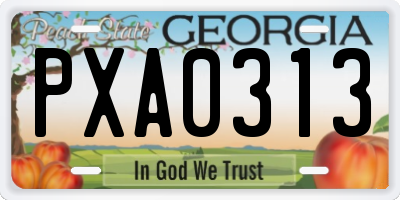 GA license plate PXA0313