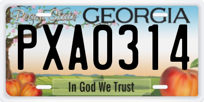 GA license plate PXA0314