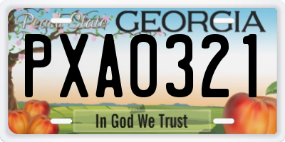 GA license plate PXA0321