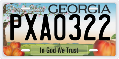 GA license plate PXA0322