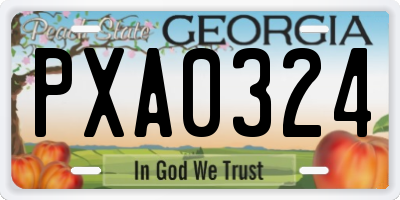 GA license plate PXA0324