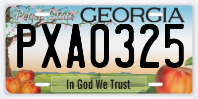 GA license plate PXA0325