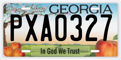 GA license plate PXA0327