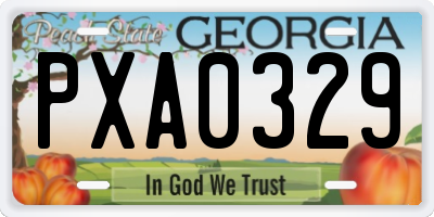 GA license plate PXA0329