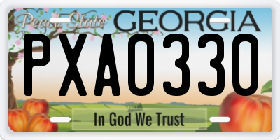 GA license plate PXA0330