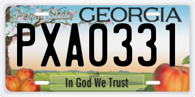 GA license plate PXA0331
