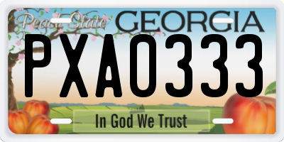 GA license plate PXA0333