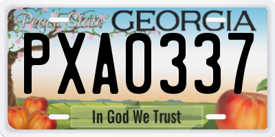 GA license plate PXA0337