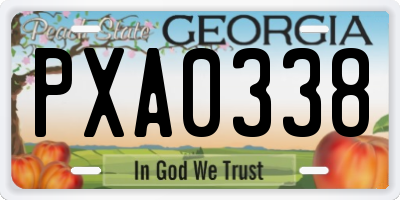 GA license plate PXA0338