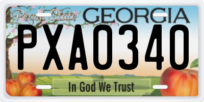 GA license plate PXA0340