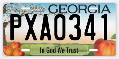 GA license plate PXA0341