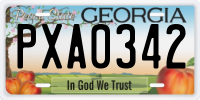 GA license plate PXA0342