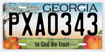 GA license plate PXA0343