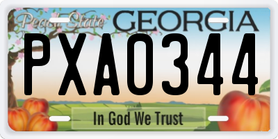 GA license plate PXA0344