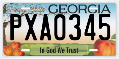 GA license plate PXA0345