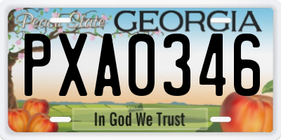 GA license plate PXA0346