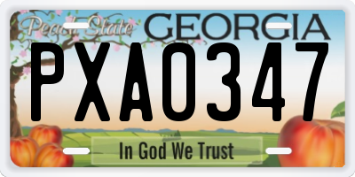 GA license plate PXA0347