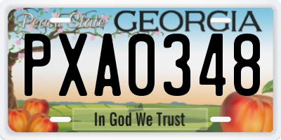 GA license plate PXA0348