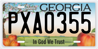 GA license plate PXA0355