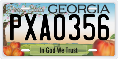 GA license plate PXA0356