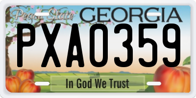 GA license plate PXA0359