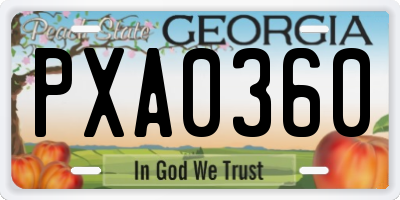 GA license plate PXA0360