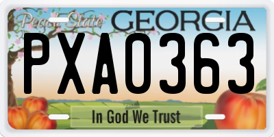 GA license plate PXA0363