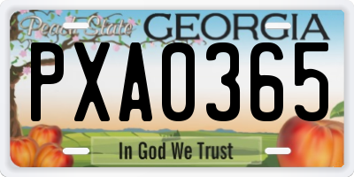 GA license plate PXA0365
