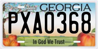 GA license plate PXA0368