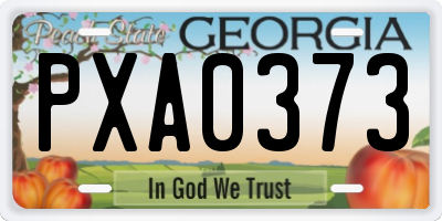 GA license plate PXA0373