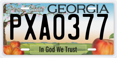 GA license plate PXA0377