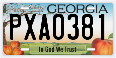 GA license plate PXA0381