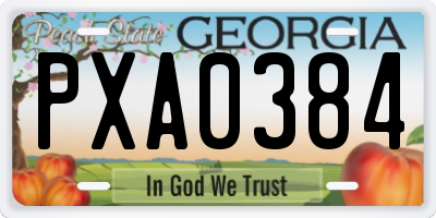 GA license plate PXA0384